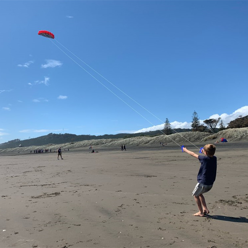 250cm New beginner kitesurf du - Outdoor Power Line 评论和价格