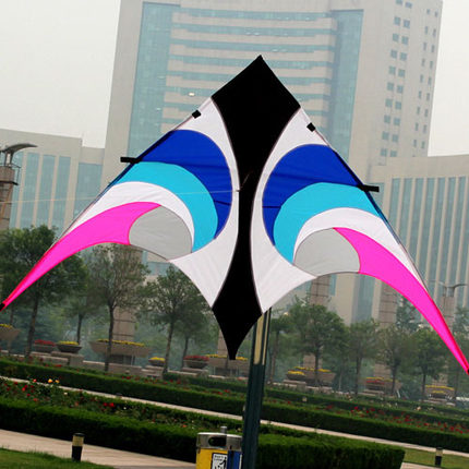 Outdoor Fun Sports  New 2.8 m  - Outdoor Power Line 评论和价格