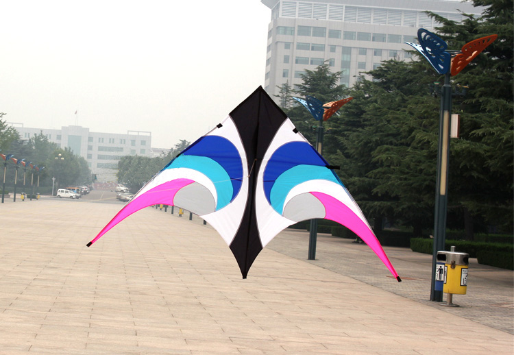 Outdoor Fun Sports  New 2.8 m  - Outdoor Power Line 评论和价格