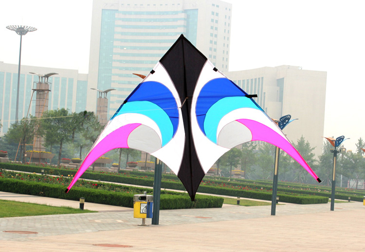 Outdoor Fun Sports  New 2.8 m  - Outdoor Power Line 评论和价格