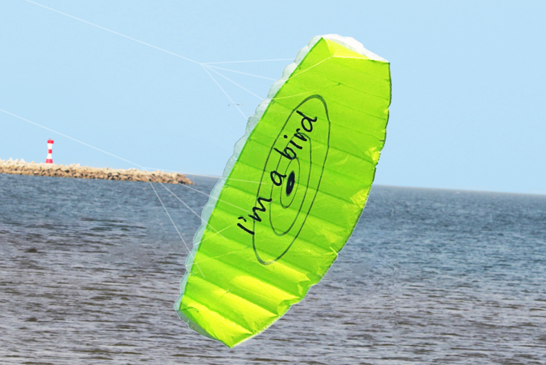 New Outdoor Fun Sports 1.4m Po - Outdoor Power Line 评论和价格