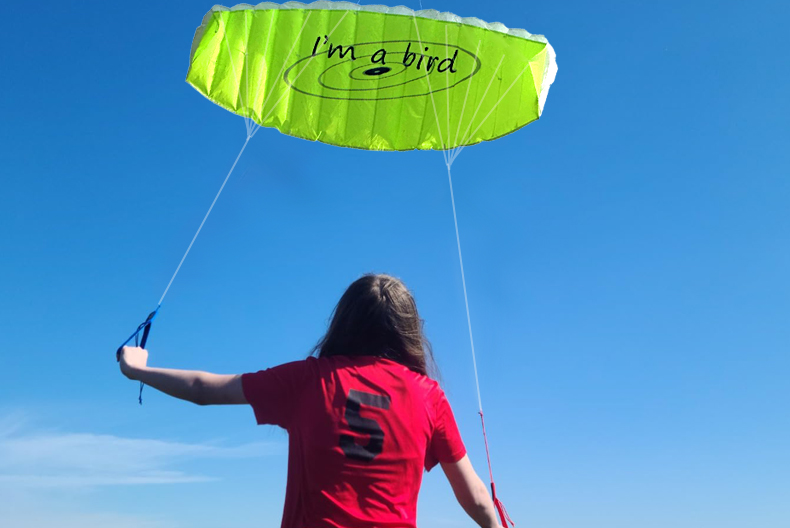 New Outdoor Fun Sports 1.4m Po - Outdoor Power Line 评论和价格